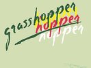 CALE, J.J. - GRASSHOPPER - LP Vinile 180GR, Nuovo, Sigillato, Edi Music on Vinyl