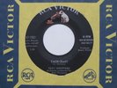 TONY SHEPPERD Zach (Zack) RCA Garage Rockabilly VG++ 45 HEAR