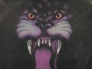 CIRCUS    ZIMBABWE  PROG  PSYCH  LP   IN THE ARENA