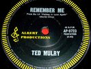 Ted Mulry RARE 45 Sitar PSYCH-POP Mod Folk Fading Yellow 7