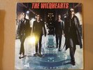 THE WILDHEARTS - ENDLESS NAMELESS 12