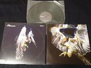 free shipping THE COURTEENERS Falcon 2010 UK Orig LP Vinyl