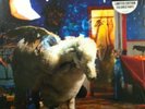 Fall Out Boy Infinity On High Clear With Blue Splatter Vinyl Sealed Rare 2xLP
