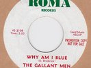RARE TEEN GROUP The Gallant Men – Why Am I Blue ROMA 2108 HEAR