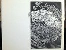 DIGITAL SEX Essence NM- RARE PRIVATE PRESS embossed + insert STEVE SHEEHAN