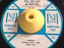 Northern Soul Promo 45 THE HONEY BEES One Girl One Boy VEE JAY WLP VG++