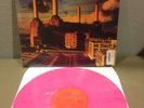 Pink Floyd Animals Lp On Pink Colored Vinyl Import Record Unplayed