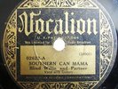 Blind Willie and Partner 78 RPM on Vocalion 1933 (Pre-War Blues) Hear it