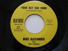 MIKE ALEXANDER AND THE VISIONS on Richie killer twee garage fuzz blast LISTEN