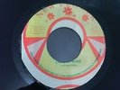JAH JAH ROBE - RISING SON  - NEW FLOWER VG+ (1976 JAMAICAN ) KILLER ROOTS