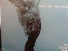Sunny Day Real Estate the Rising Tide Green Vinyl Jeremy Enigk mineral braid emo