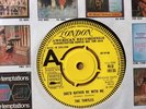 DEMO classic 60's The Turtles 