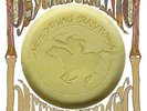 NEIL YOUNG PSYCHEDELIC PILL 3 LP NEW SEALED VINYL