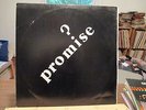 Promise? Promise private press neo psych/new wave LP on Cumulus