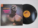 Original 1970 Demon Fuzz AFREAKA Janus Records JLS-3028 Soul Funk Vinyl Record