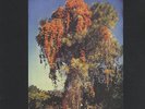 WE ALL TOGETHER  - WE ALL TOGETHER  -   LP   PROG ROCK