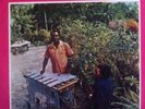 RARE Lennie Hibbert More Creatio 12