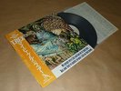 T.REX - MY PEOPLE WERE FAIR AND HAD SKY IN THEIR HAIR / Japan LP / OBI / 1983