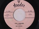 SHIELDS: You Cheated / That's The Way It's Gonna Be 45 (tol) rare Vocal Groups