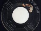 Crazy Rockabilly Tony Shepperd RCA 7563 (( ? )) Zach / Desperate Album