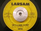 Northern/Sweet Soul 45 Toppiks Give It a Chance To Grow/Surrender LARSAM Orig.