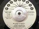 Funk/Soul 45 James Fountain - My Hair Is Nappy PEACHTREE ORIG DJ WL