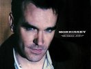 Morrissey Vauxhall and I 20th Anniversary Edition Definitive Vinyl LP