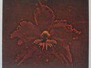 MACHINE HEAD - THE BURNING RED LP 1999 ORIG ROADRUNNER SEPULTULA KORN LIMP RAGE