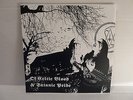 DROWNING THE LIGHT - Of Celtic Blood RARE ORIGINAL LP mutiilation satanic master