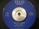Funk/Soul 45  Little Rickey & Rhythm Express Do My Thing/Black Molly TEXAS Ex