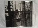 Paul McCartney - Chaos And Creation In The Backyard LP