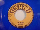 ELVIS PRESLEY - That's All Right - SUN repro - Blue Vinyl - NM