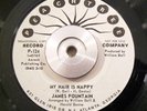 Soul/Funk 45 James Fountain - My Hair Is Nappy PEACHTREE DJ WL Promo EX Rare