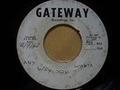RARE SOUL / MOD HARVEY any way you wanta GATEWAY METAL 7