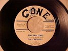 CAROUSELS You Can Come RARE SWEET SOUL/GIRL GROUP/DOO-WOP GONE DJ PROMO 45 Hear