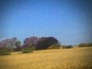 Sun Kil Moon 