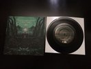 The Sound of Animals Fighting The Ocean and the Sun Circa Survive Vinyl Record