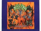 D.V.C. - Molecular Shadow LP 1992 rare US Death / Thrash Metal DVC rigor mortis