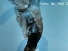 The Rising Tide * by Sunny Day Real Estate (Vinyl, Jun-2000, Time Bomb...
