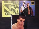 3 x  DAF 12