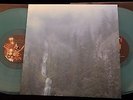 WOLVES IN THE THRONE ROOM 