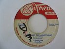 THE ETERNALS Queen Of The Minstrel SUPREME Reggae 7