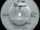 Dolphins In Disguise Private Wisconsin Minimal Synth 7