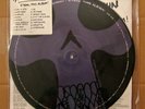 SYSTEM OF A DOWN STEAL THIS ALBUM PICTURE DISC VINYL LP RARE NEW MINT