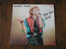 Robert Plant - Now And Here - Live