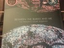 Between the Buried and Me 