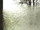 Bon Iver - For Emma, Forever Ago