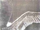 MY DYING BRIDE - Turn loose the Swans  DLP  VINYL