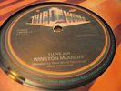 Winston Mcanuff I Love Jah Rare Killer Roots 12