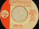 The Generation 45 MOCKINGBIRD Hold On RARE NORTHERN SOUL LISTEN